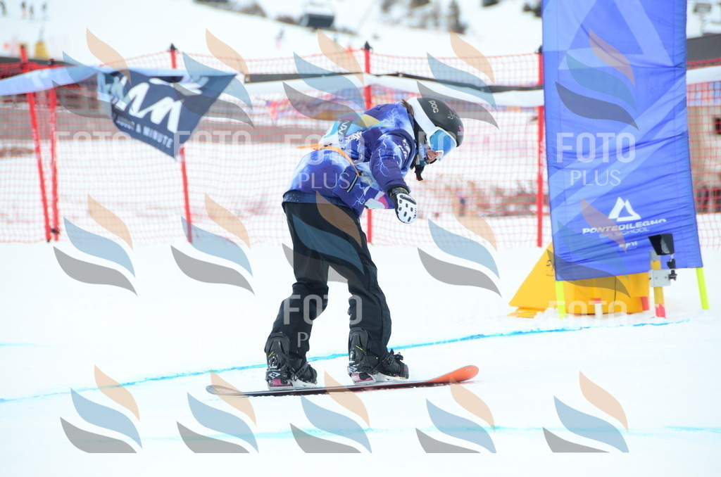 DSC_2312 | holidayphoto