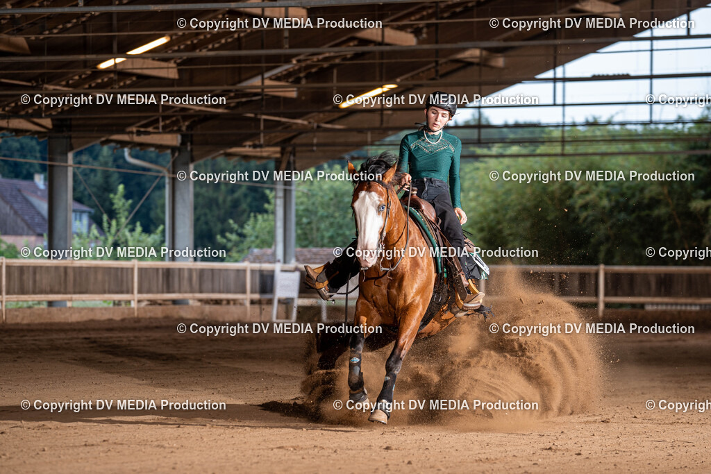 Erbach Tag 1-1171 | dv-media-shop - Realisiert mit Pictrs.com