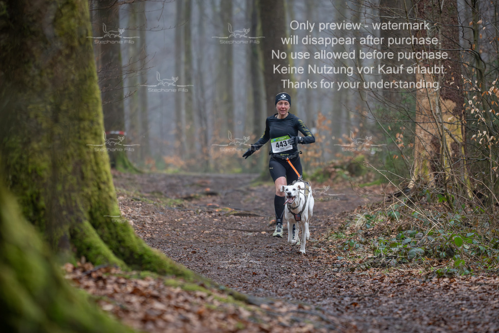 Canix_So-16 | stephaniefillaphotographie - Realisiert mit Pictrs.com