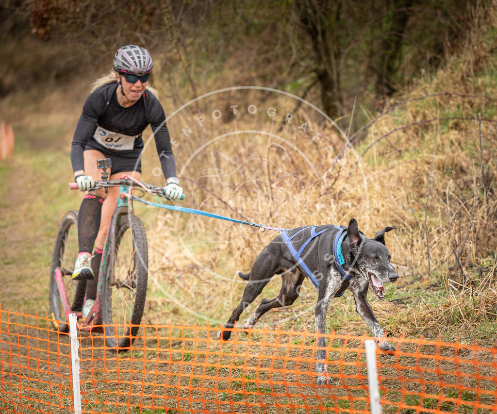 DV3A9935 | Hundefotografie, Tierfotograf, Pfotenfotografie, Fotoshooting Hund, Hunde Portrait, Hundesport, Hundeportraits, Heideshooting, Hunde, Sportfotograf, Hundefotograf, Turnierhundsport, THS,  - Realisiert mit Pictrs.com