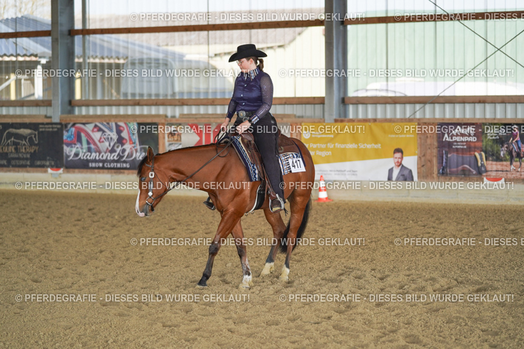 DSC09805 | Pferdegrafie