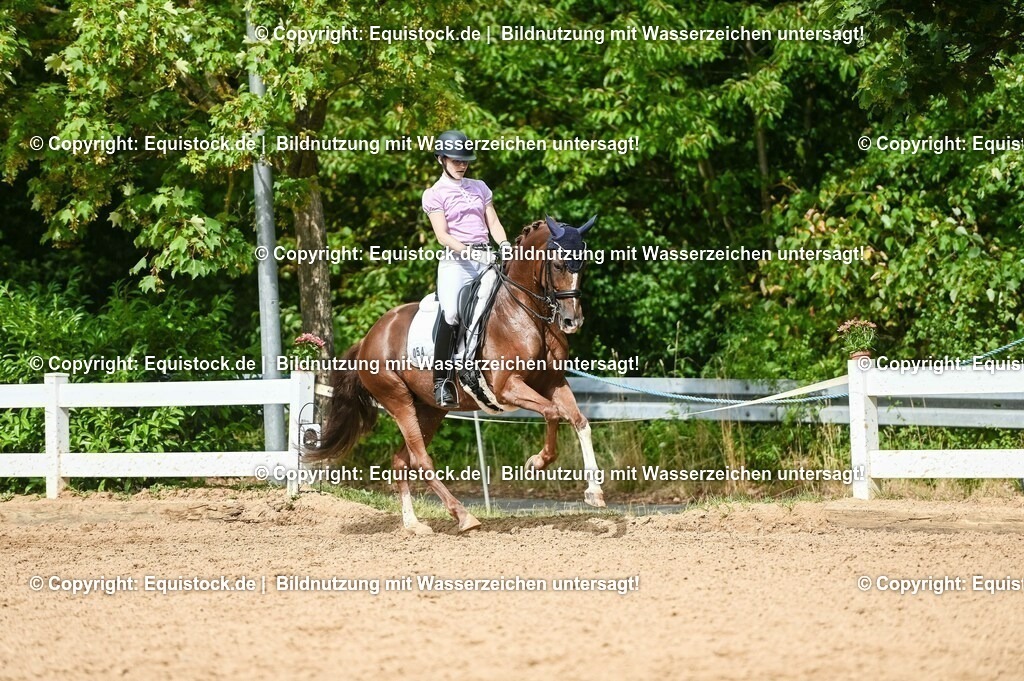 20230716_01_Dressurprüfung Kl.M_0393 | equistock