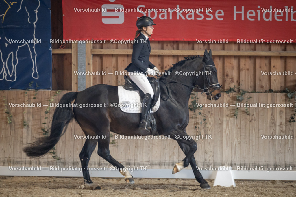 _D5A4555 | Emotionale Pferde- & People-Fotografie rund um Heidelberg, Leimen & Umgebung. Natürliche Fotos von Pferd, Mensch & Familie. Jetzt Termin sichern!