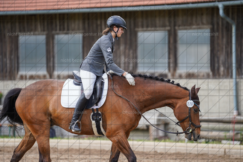 20240519-FAH05291 | Turnierbilder Niederseeon 2024, Vielseitigkeitsdressur, Reitsportbilder aus dem Landkreit Ebersberg, Gut Steinsee, RC Steinsee, Fotoagentur Herrmann