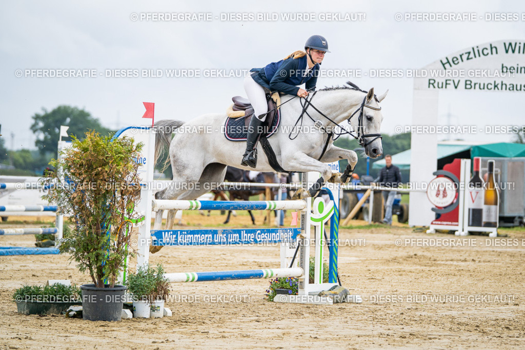 DSC02330 | Pferdegrafie