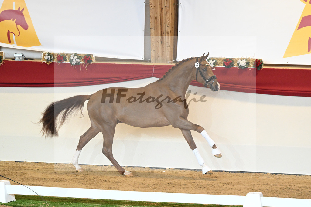 Kat-Nr. 80 Viva Gold_Buergers_1230457 | hf-fotografie - Realizzato con Pictrs.com