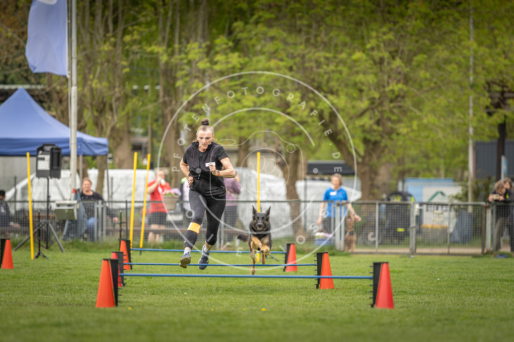 Pfotenfotografie_DV3A8333 | Hundefotografie, Tierfotograf, Pfotenfotografie, Fotoshooting Hund, Hunde Portrait, Hundesport, Hundeportraits, Heideshooting, Hunde, Sportfotograf, Hundefotograf, Turnierhundsport, THS,  - Realisiert mit Pictrs.com