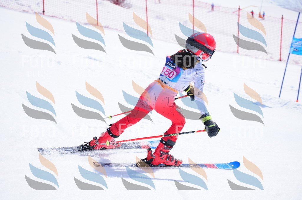 DSC_5275 | holidayphoto