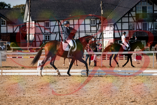 2026_10_03_Siefer-Hof_125531_Z63_61838383 | Professionelle Reitsport-, Turnier- und Eventfotografie von Robert Broda. Galerien mit ausgewählten und bearbeiteten Bildern direkt online ansehen und bestellen.