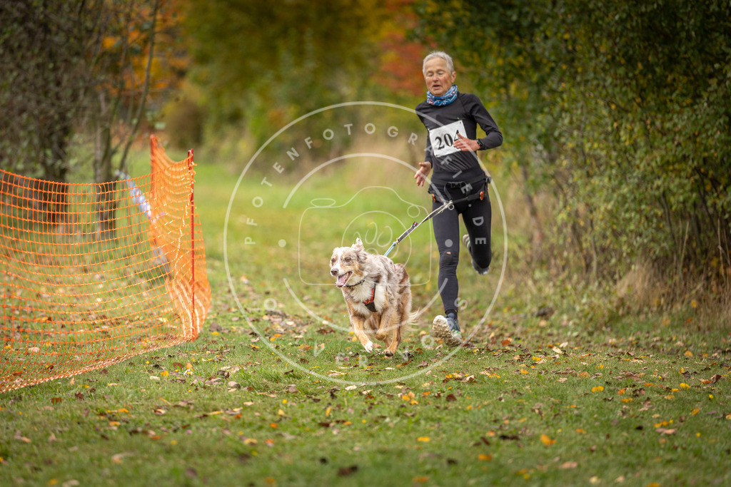 Pfotenfotografie_DV3A4162 | Hundefotografie, Tierfotograf, Pfotenfotografie, Fotoshooting Hund, Hunde Portrait, Hundesport, Hundeportraits, Heideshooting, Hunde, Sportfotograf, Hundefotograf, Turnierhundsport, THS,  - Realisiert mit Pictrs.com
