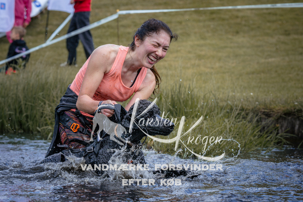 _ZZ909790910 | kk-dogfotos