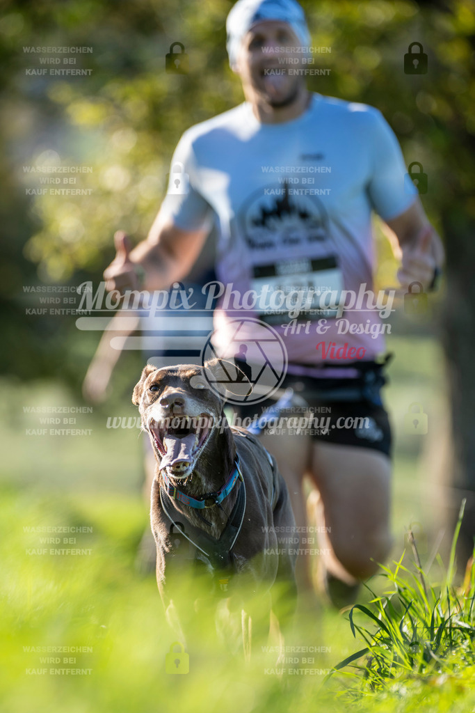 MompixPhotography_20TSB_E3_Run-164 | PayLife