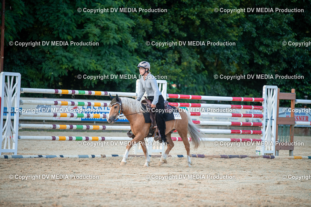 EWP_7286 | dv-media-shop - Realisiert mit Pictrs.com