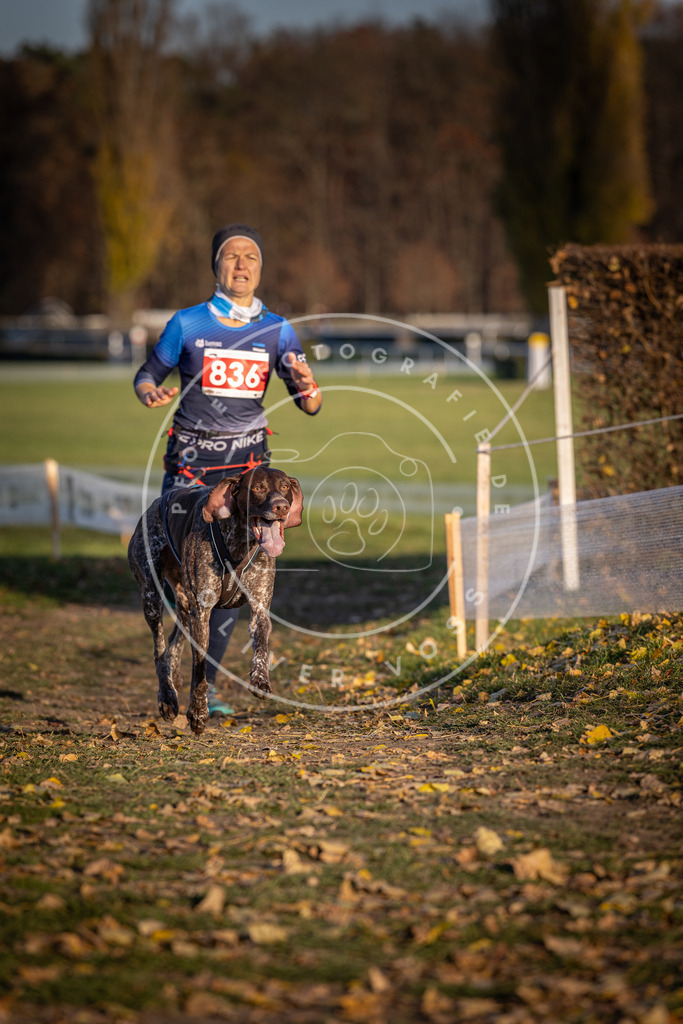 CaniXpix_DV3A3525 | Hundefotografie, Tierfotograf, Pfotenfotografie, Fotoshooting Hund, Hunde Portrait, Hundesport, Hundeportraits, Heideshooting, Hunde, Sportfotograf, Hundefotograf, Turnierhundsport, THS,  - Realisiert mit Pictrs.com