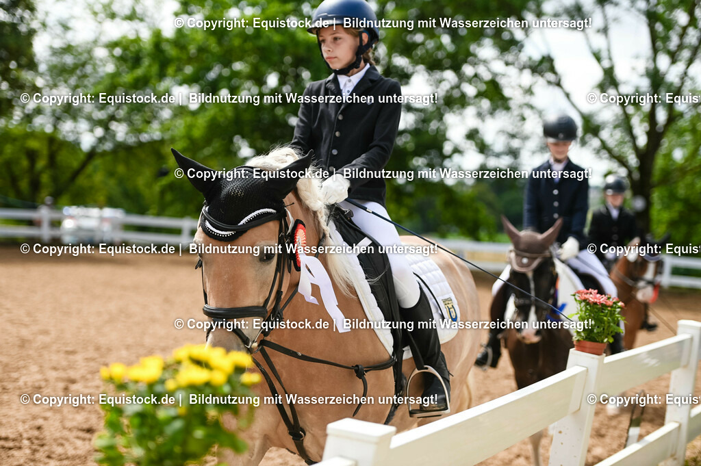 20230716_10-2_Reiter-WB Schritt - Trab - Galopp_0220 | equistock