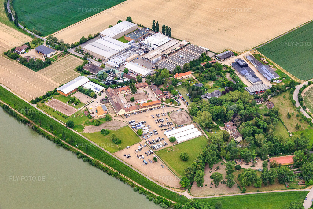 Luftbild: Intersnack Deutschland SE Werk Petersau am Rheinufer und Reitanlage Carlo von Opel am Demeter Hofgut Petersau im Ortsteil Mörsch in Frankenthal im Bundesland Rheinland-Pfalz in Deutschland.Foto: IMG_089015.jpg vom 20.05.2016 durch Werner Riehm/FLY-FOTO.deWWW.HOFGUT-PETERSAU.DEWWW.INTERSNACK.DE