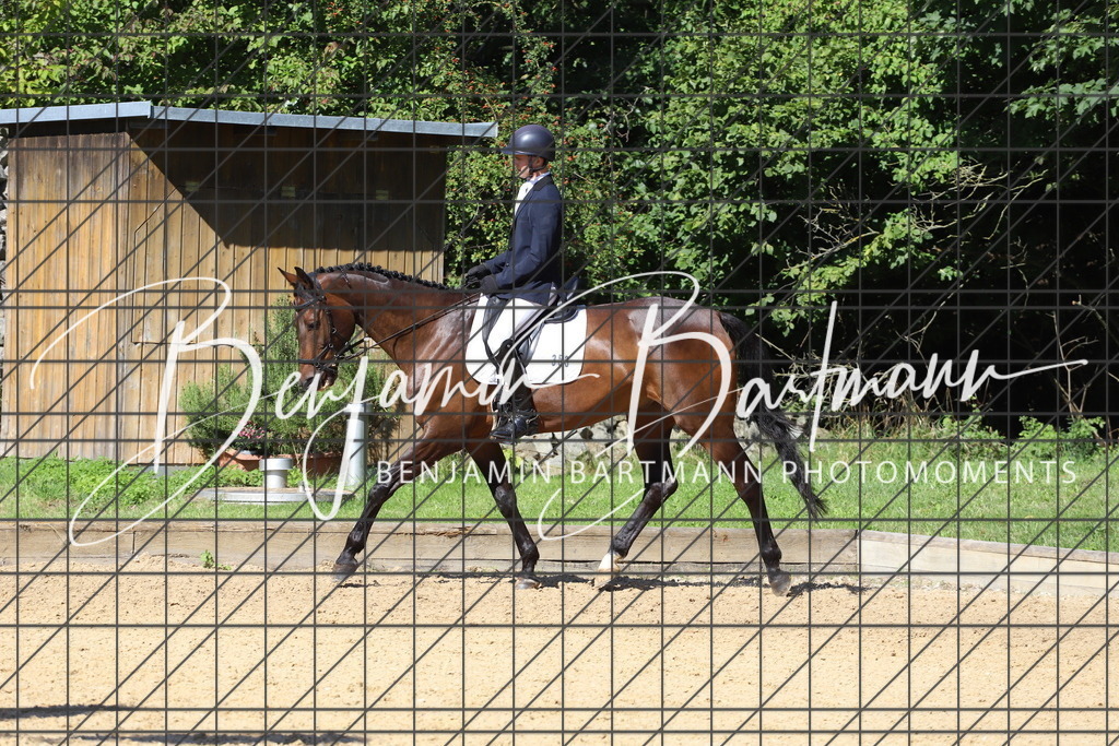 IMG_5728 | Benjamin Bartmann Photomoments