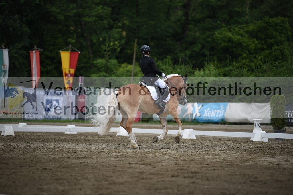 DSC_7951 | equestrian-live-com