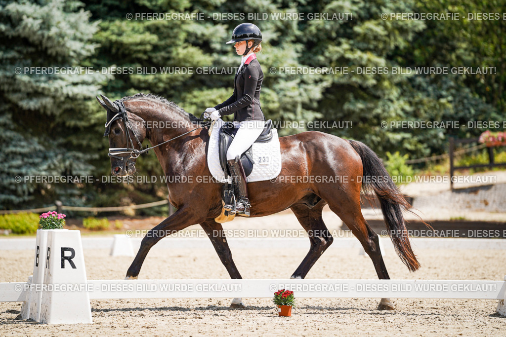 DSC01521 | Pferdegrafie