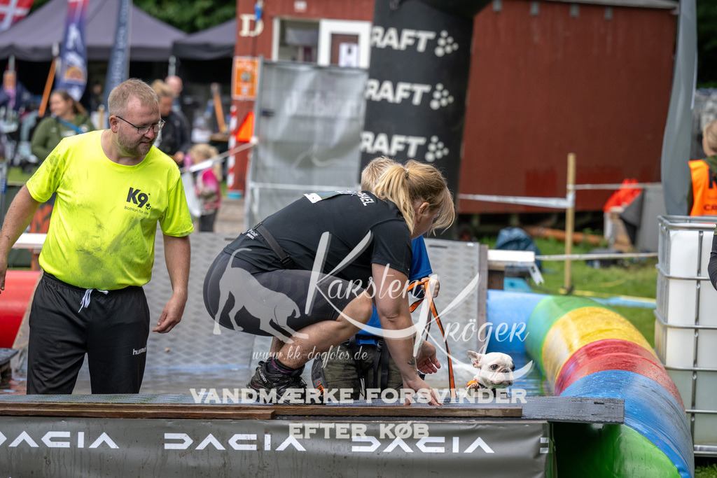 1438_ZZ91694 | kk-dogfotos