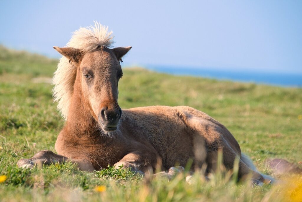 DSC_8673 | Unvergessliche Erinnerungen in Bildern festgehalten! Ob Hochzeit, Shooting oder Landschaft  - Ich bin dein Fotograf in Erfurt und Umgebung! Photo-Rauch | Sandro Rauch - Realisiert mit Pictrs.com