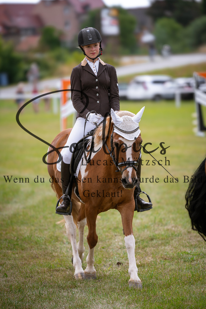 A7V00362 | Pferdefotograf