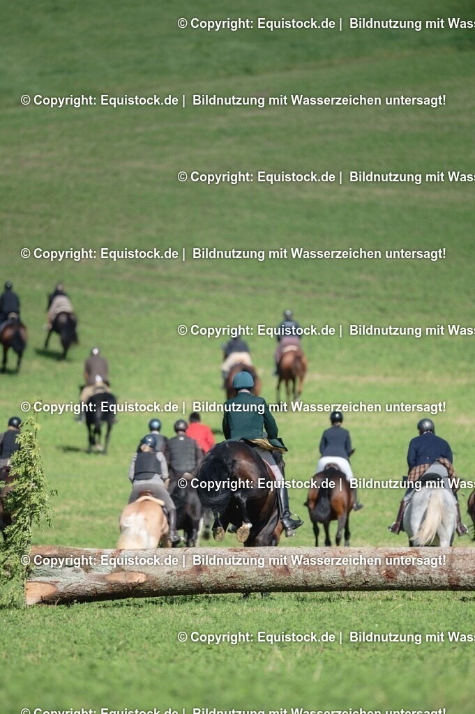 20251011_Jagd-Marbach_0270 | Foto: Thomas Hartig