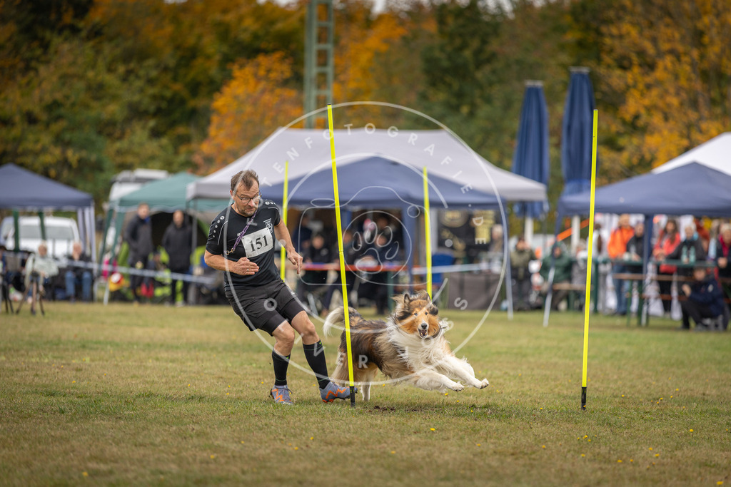 Pfotenfotografie_DV3A6389 | Hundefotografie, Tierfotograf, Pfotenfotografie, Fotoshooting Hund, Hunde Portrait, Hundesport, Hundeportraits, Heideshooting, Hunde, Sportfotograf, Hundefotograf, Turnierhundsport, THS,  - Realisiert mit Pictrs.com