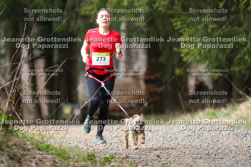 Dog Paparazzi - VCC26-397 | Dog Paparazzi Jeanette Grottendiek Fotografie & Videografie - Realisiert mit Pictrs.com