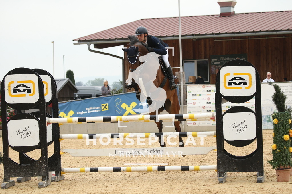 DL2Q6952 | Willkommen bei Brunnmayr - Design & Fotografie – Ihrem Spezialisten für Reitturniere und Pferdeveranstaltungen in Oberösterreich, Salzburg und Bayern! Seit über 17 Jahren sind wir leidenschaftlich dabei.