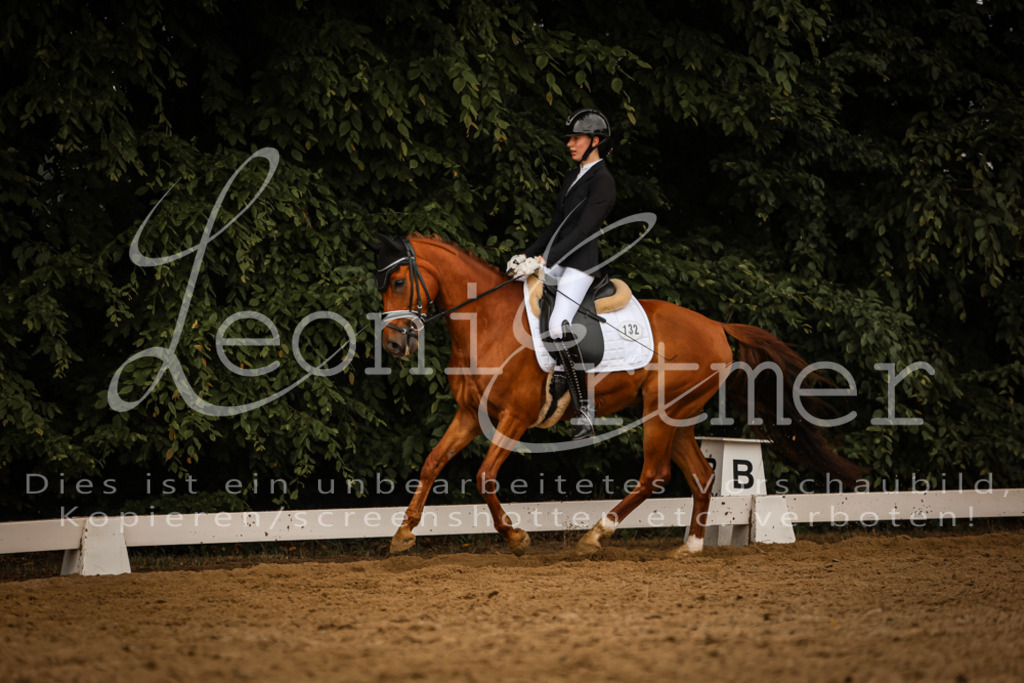 DoDrA200318 | Leoni Ertmer Photography - Realisiert mit Pictrs.com