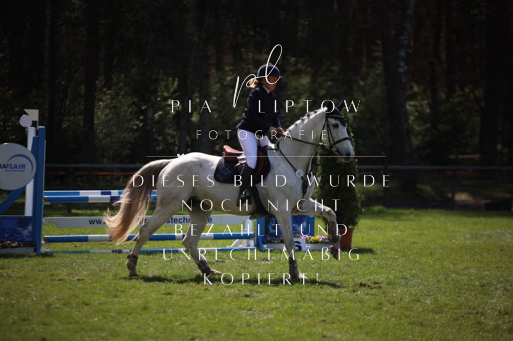 IMGT5484 | pl-fotografie