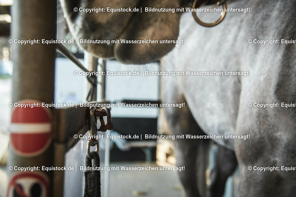 20200118_Laufband_0017 | Foto: Thomas Hartig