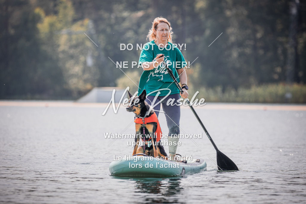 BUHU_SUP_562 | nelerasche