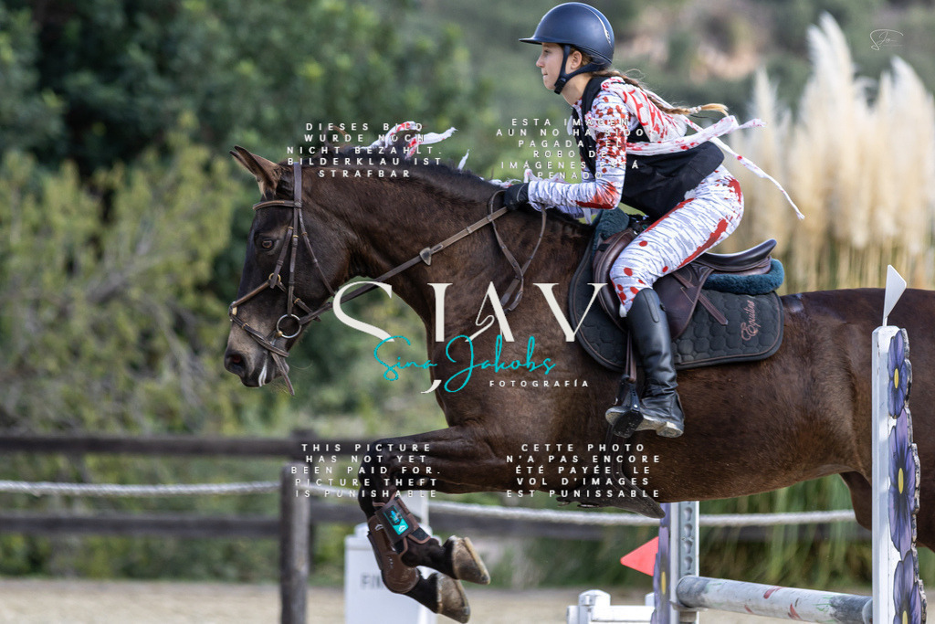 IMG_3503 | s-jay-photography - Realisiert mit Pictrs.com