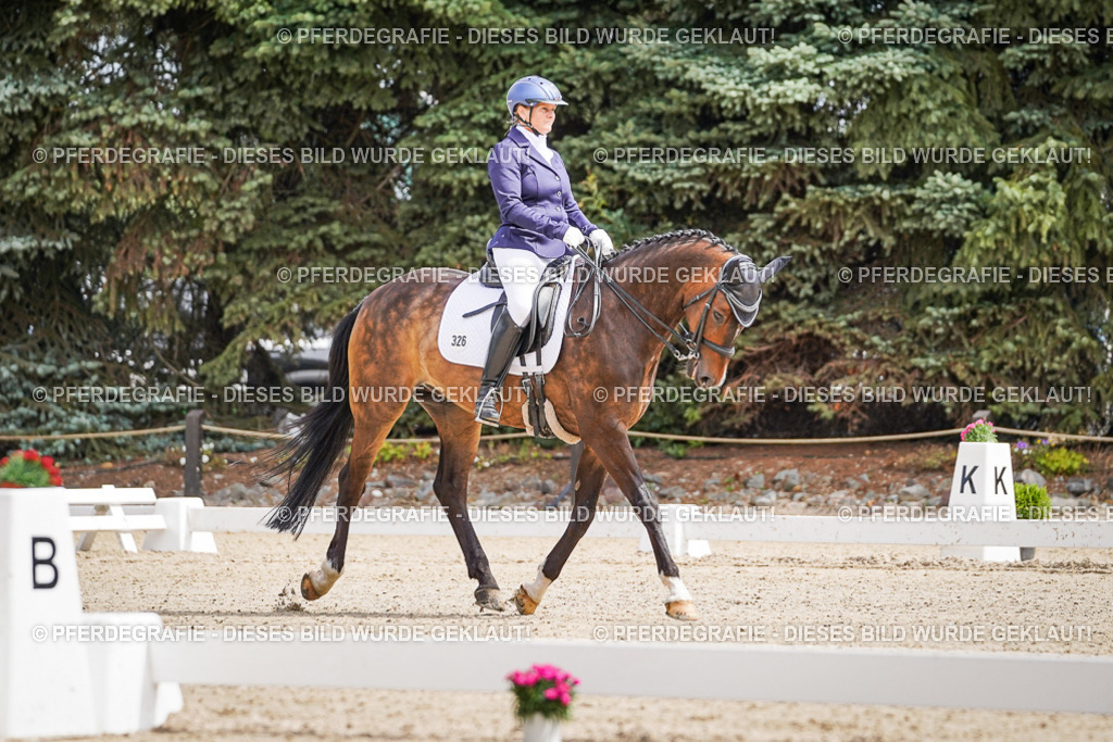 DSC02473 | Pferdegrafie