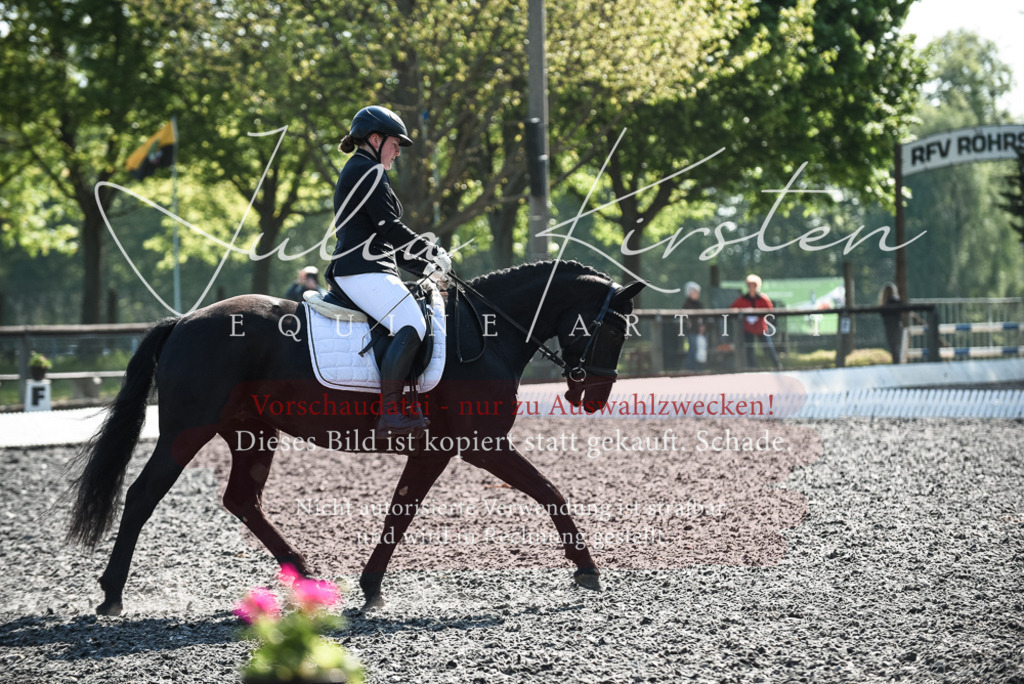 DSC_8808 | Pferde- und Turnierfotografie in Westsachsen. Pferdeportraits, Auftragszeichnungen und intuitive Kunst.