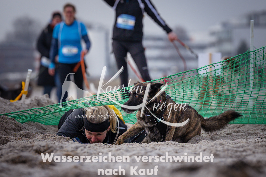 1134_ZZ99461 | kk-dogfotos