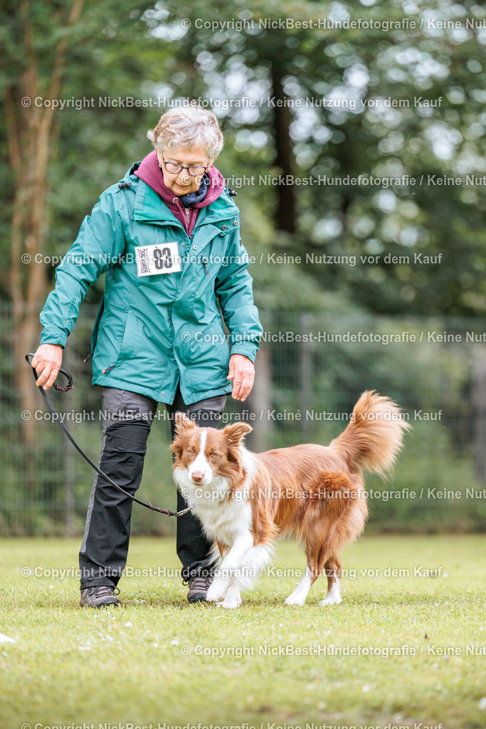 RO-Blumenthal-2026-Nickbest-Hundefotografie-5576 | Dein Hund! Dein Moment! Deine Erinnerungen! Hundefotografie in Bremen Blumenthal. Ich fange die besonderen Momente deines Vierbeiners ein – ob Indoor mit Blitzanlage oder in der freien Natur. Sicher dir dein Moment und dein Termin für eure Erinnerungen.