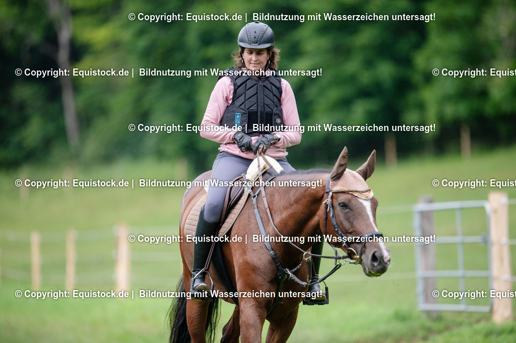 20250725_Vielseitigkeitslehrgang-Marbach_0407 | Foto: Thomas Hartig