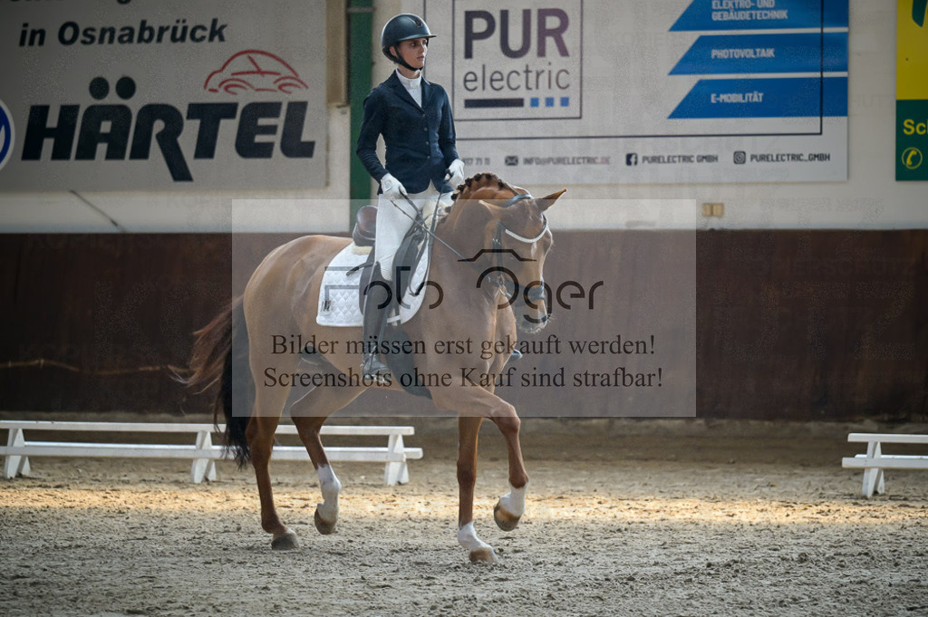 Reitturnier Voxtrup | Entdecke hochwertige Reitturnierfotos von Foto Oger. Professionell, emotional und authentisch – jetzt Lieblingsmomente im Shop bestellen.Deutschlandweite Turnierfotografie. - Realisiert mit Pictrs.com