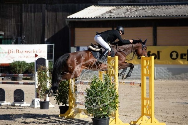 2B4A0608 | pixelfaenger - Realisiert mit Pictrs.com