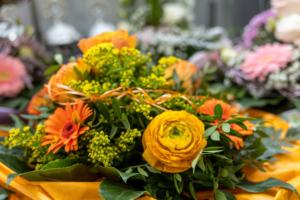 top-top.de 260412-055 | Foto, Video, Fotografie, Videografie, Fotobox, DJ, Discjockey, Musik, Musikbox, Veranstaltung, Photobooth, Amazon, Ebay, Buchtipp, Bestseller, Autor, Verlag, Buch, Wesel, Hamminkeln, NRW, Dinslaken, Rees, Drohne, Hochzeit, Party, Fotobox, Wesel, Fotograf