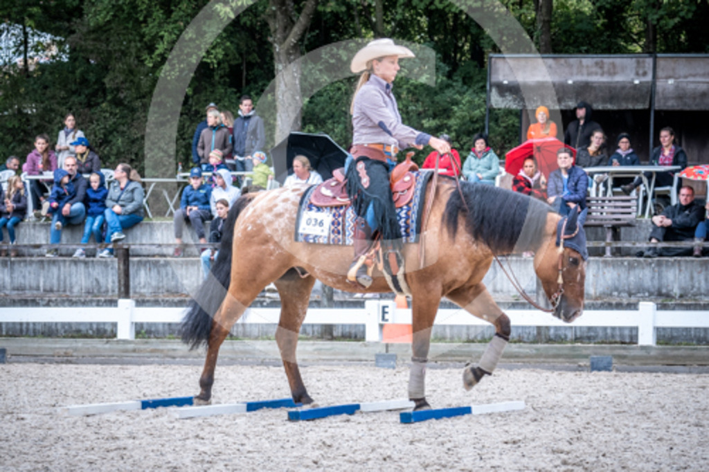 HEB07303 | BS-foto