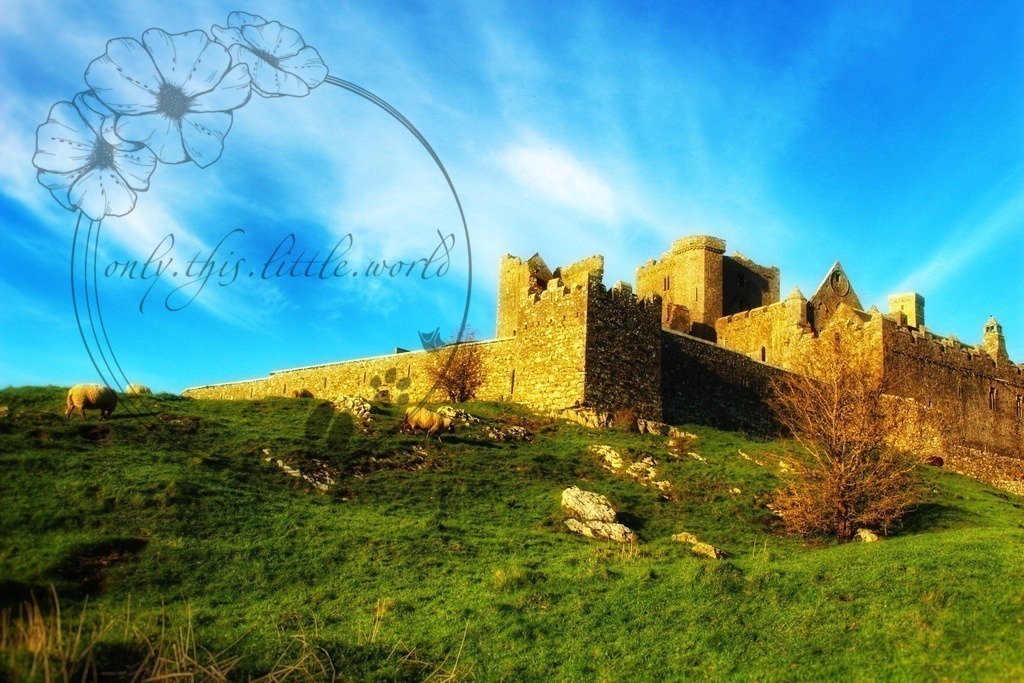 IMG_3878-01 | only.this.little.world - Realisiert mit Pictrs.com