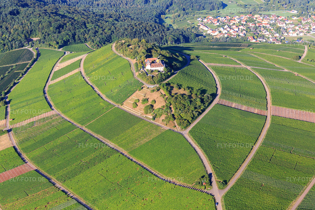 Luftbild: Jugendhaus Michaelsberg im Ortsteil Treffentrill in Cleebronn im Bundesland Baden-Württemberg in Deutschland. – Foto: IMG_093832.jpg vom 23.08.2016 durch Werner Riehm/FLY-FOTO.de – Auflösung des Originals: 5472 x 3648 px – Die Tagungshäuser der Diözese Rottenburg-Stuttgart