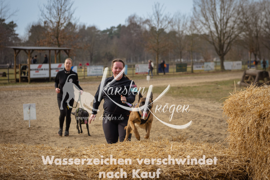 1100_ZZ91392 | kk-dogfotos