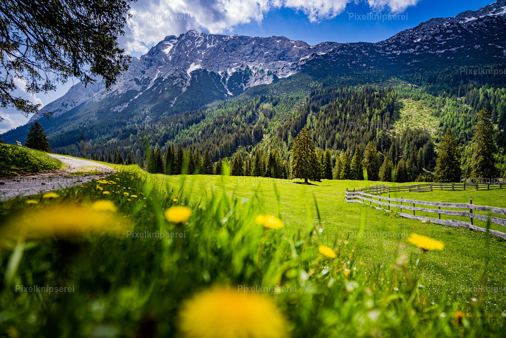 Gaistal | Fotograf Tirol Imst Pixelknipserei