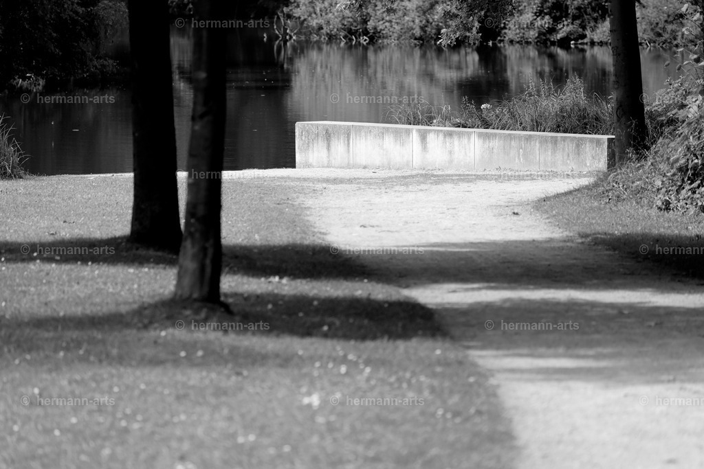 Bagno_09_07_24_DPP-94a | Photo Foto Kunst Art schwarzweiss Bilder Rheine Münster Berlin Blumen 