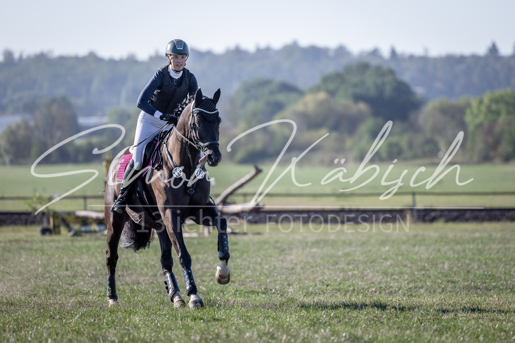 20260906-_3LI1296 | Tierfotografie Pferde, Hunde, Katzen, Haustiere.
Turnierfotografie Reitturniere, Reiten, Springreiten, Dressur in Hanau, dem Main-Kinzig-Kreis und dem Rhein-Main- Gebiet um Frankfurt